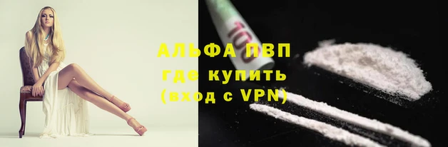 стафф Алексин