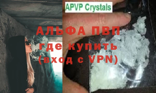 стафф Алексин